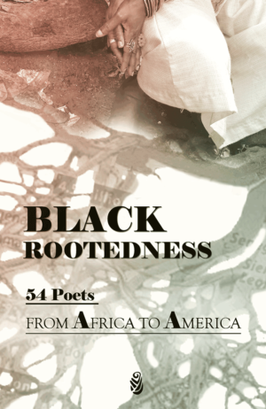 Black Rootedness book cover